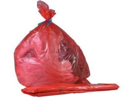 Entreprise spécialisée en détection de punaises de lit avec chien renifleur pour cartographie précise sur grandes surfaces Lyon Rhône-Alpes