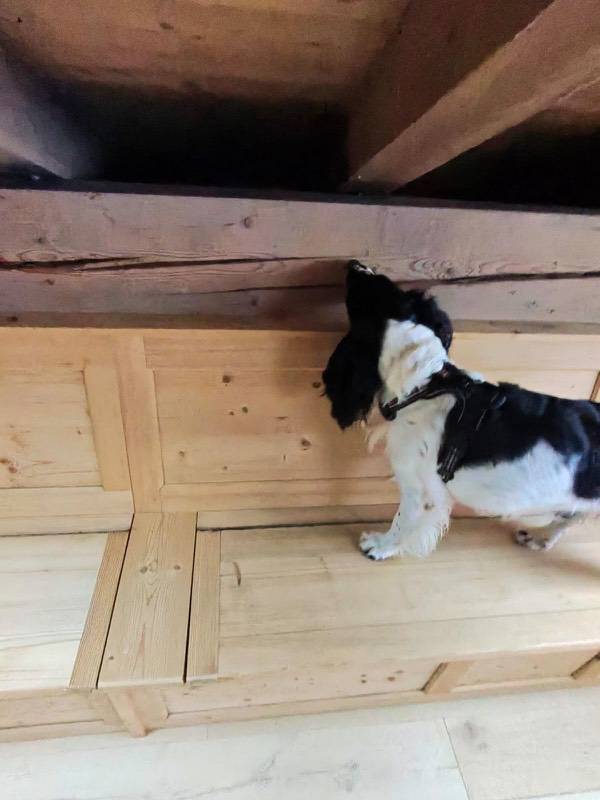 Contrôle après-traitement d'une maison infestée de punaises de lit de 100 m2 à Grenoble