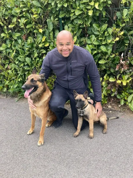 Détection canine à Oyonnax pour lutter contre les punaises de lit dans une maison