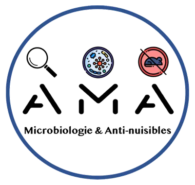 Expert dératisation désinsectisation Est Lyonnais