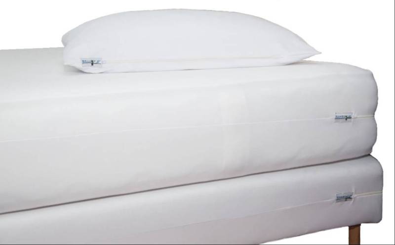 Housse anti-punaises de lit pour protéger son matelas des infestations