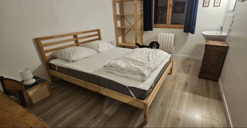 Puce de lit dans un appartement à Saint-Etienne, chien renifleur prévention et post-traitement