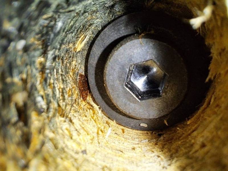 Punaise de lit retrouvée par nos chiens renifleurs dans une visserie d'un meuble de lit dans un condominium luxueux à Chambéry 