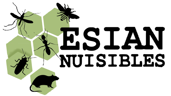 Traitements des punaises de lit à Lyon pour ne plus avoir de bouton