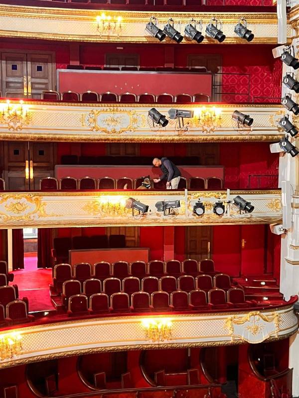 salle culturelle et punaises de lit, utilisation de chien renifleur en prévention à Lyon
