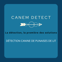Canem Detect, votre expert en détections de punaises de lit en Ile-de-France et région Aura