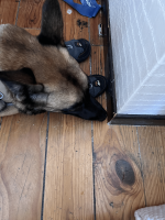 Nos prestations sur le secteur de Saint Etienne 42 Loire