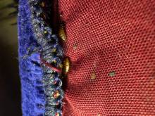 Notre zone d'activité pour ce service Détection rapide et efficace des punaises de lit dans les hôpitaux et cliniques avec chiens certifiés