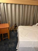 Notre zone d'activité pour ce service Service spécialisé de détection de punaises de lit avec un chien dans les transports en commun tels que train, bus ou car