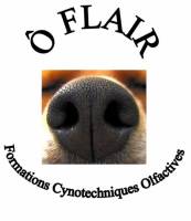 Formation et recherche de punaises de lit dans les chambres à Chambéry