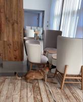 Nos prestations sur le secteur de Annecy 74 Haute Savoie