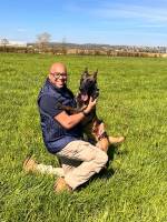Notre zone d'activité pour ce service Service de détection de punaises de lit avec chien pour cinéma, théâtre, salle de spectacle avec sièges rembourrés